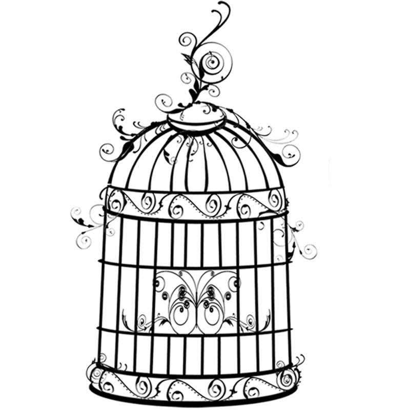 #1892a - Birdcage - Nature